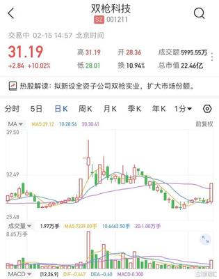 雙槍科技擬新設(shè)全資子公司雙槍實業(yè)，股價強(qiáng)勢漲停